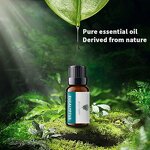 Essential Oil Manufacturer - Wholesale 10ml Ocean for Car & Home Ultrasonic Diffuser