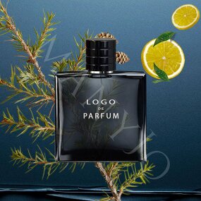 Men's Perfume Manufacturer - Wholesale Custom Private Label 50ml Original Woody Cologne