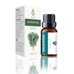 Essential Oil Set Manufacturer - Private Label 10ML Organic 6pcs in Gift Box, 20 Fragrance