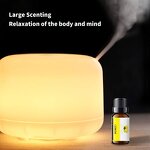 Essential Oil Manufacturer - Pure 10ml for Candles & Reed Diffuser