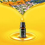 Essential Oil Manufacturer - Wholesale 10ml Screw Lid Body Oil for Spa