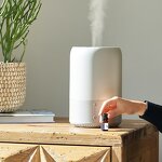 Essential Oil Manufacturer - Customize 10ml for Home Scent Machine & Car Freshener