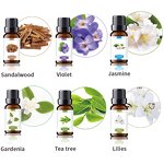 Essential Oil Gift Set Manufacturer - Hot Sale 12pcs 100% Pure Natural Organic 10ml