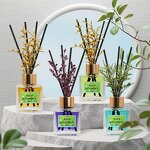 Reed Diffuser Set Manufacturer - Custom 50ml Home Scent with Dried Flower