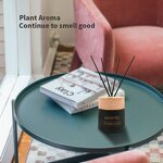 Reed Diffuser Set Manufacturer - Hot Sale 100ml with Wood Lid & Rattan, Refillable