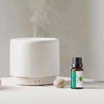 Essential Oil Set Manufacturer - OEM High Quality 10/15/20ml for Cold Diffusers, 6Pcs