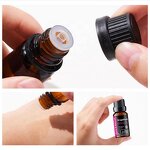 Essential Oil Set Manufacturer - Free Sample 100% Natural Organic 12 Premium Grade