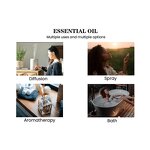 Essential Oil Manufacturer - OEM Herbs Plant Extract for Electric Waterless Diffuser