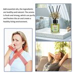 Reed Diffuser Manufacturer - Custom New Style 100ml with Arom Stick & Dried Flower