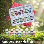 Essential Oil Set Manufacturer - Private Label Organic Diffuser Lavender Rose etc. 12pcs
