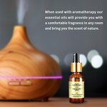 Essential Oil Manufacturer - Customize 20ml Eucalyptus for Room & Waterless Diffuser