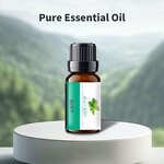 Essential Oil Set Manufacturer - Aromatherapy Top 6 100 Pure Car Kitchen Mint, 12Pcs