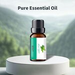 Essential Oil Manufacturer - Wholesale 10ml Sandalwood for Car & Home Diffuser