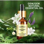 Essential Oil Manufacturer - Customize 20ml Eucalyptus for Room & Waterless Diffuser