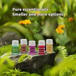 Essential Oil Set Manufacturer - Good Price 3ml Rosemary Lavender Peppermint, 36Pcs