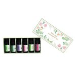 Essential Oil Set Manufacturer - OEM High Quality 10/15/20ml for Cold Diffusers, 6Pcs