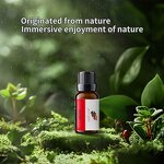 Essential Oil Manufacturer - Natural 10ml Green Bamboo for Aromatherapy & Candle Making