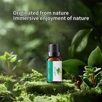 Essential Oil Manufacturer - Pure 10ml for Candles & Reed Diffuser