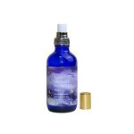 Air Freshener Spray Manufacturer - Custom Room & Toilet Odor Eliminator for Cars & Home