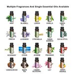 Essential Oil Manufacturer - OEM Herbs Plant Extract for Electric Waterless Diffuser