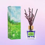 Reed Diffuser Set Manufacturer - Custom 50ml Home Scent with Dried Flower