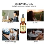Essential Oil Manufacturer - Customize 20ml Eucalyptus for Room & Waterless Diffuser