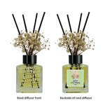 Reed Diffuser Manufacturer - Customized 100ml New 2024 Design, Home Decorative Scent