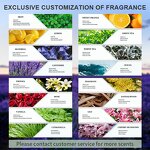 Essential Oil Set Manufacturer - Free Design Custom Private Label Pure Natural 6pc Set
