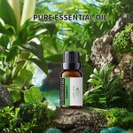 Essential Oil Set Manufacturer - Free Design Custom Private Label Pure Natural 6pc Set