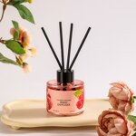 Women's Perfume Manufacturer - Safe Aromatherapy-Friendly, Pure Floral & Fruity No Fire