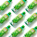 Sugar Free Aloe Drink Supplier - 500ml Original Flavor