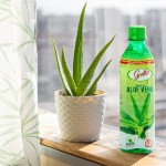 Sugar Free Aloe Drink Supplier - 500ml Original Flavor