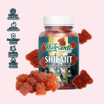 Shilajit Gummy Manufacturer - Tamarind Flavor Bottle Pack