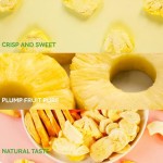 Dried Mango Slice Factory - Healthy Fruit Snack Bulk