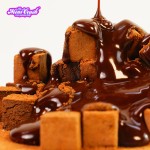 Cocoa Puff Candy Factory - Freeze Dried Cube Shape Bulk