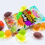 Mini Jelly Snack Factory - Sweet Fruit Type Halal Certified
