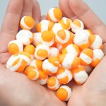 Freeze Dried Gummy Beans Supplier - Custom Fruit Flavor Candy Bulk