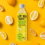 Korean Aloe Drink Factory - 500ml Natural Flavor