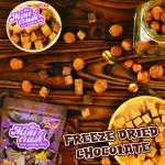 Freeze Dried Ice Cream Ball Manufacturer - Sour Chocolate Candy