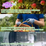 Freeze Dried Apple Chip Supplier - Crispy Fruit Snack Bulk