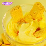 Cookie Flavor Gummy Manufacturer - Freeze Dried Ice Cream Ball