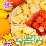 Freeze Dried Apple Chip Supplier - Crispy Fruit Snack Bulk