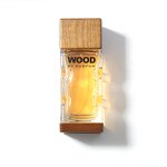 Perfume Cologne - Manufacturer 100mL Custom Long-lasting Woody for Men