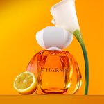 Perfume - Manufacturer Guangzhou Factory 100mL Elegant Parfum for Women