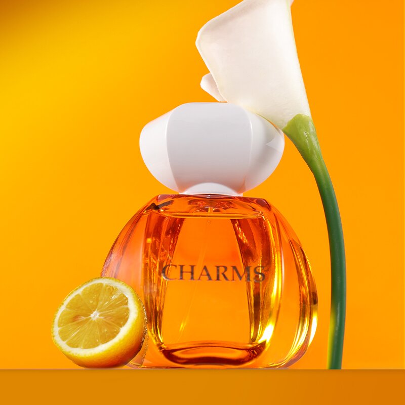 Perfume - Manufacturer Guangzhou Factory 100mL Elegant Parfum for Women