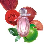 Perfume - Manufacturer ZUOFUN OEM Pink Floral Fragrance Perfume Supplier
