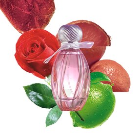 Perfume - Manufacturer ZUOFUN OEM Pink Floral Fragrance Perfume Supplier