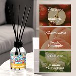 Reed Diffuser - Manufacturer 100mL Private Label Custom Scent Luxury