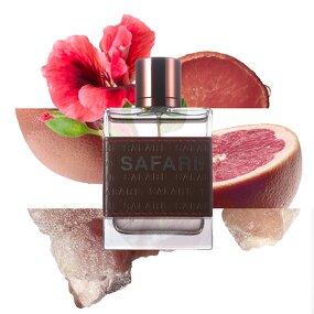 Perfume Spray - Manufacturer Wholesale 100mL Brand Design Long-lasting for Men