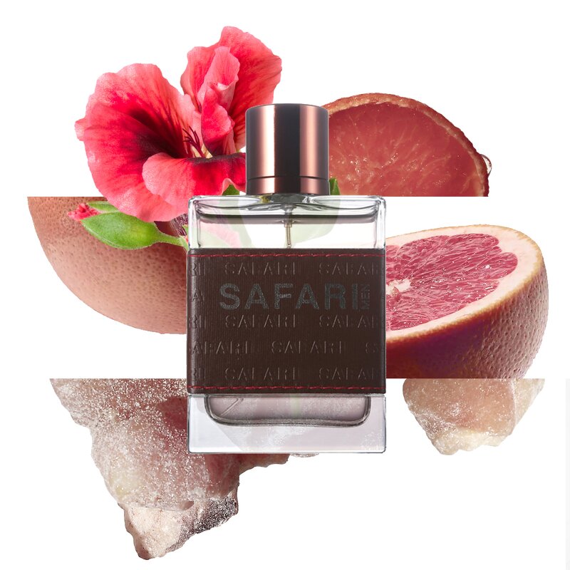 Perfume Spray - Manufacturer Wholesale 100mL Brand Design Long-lasting for Men